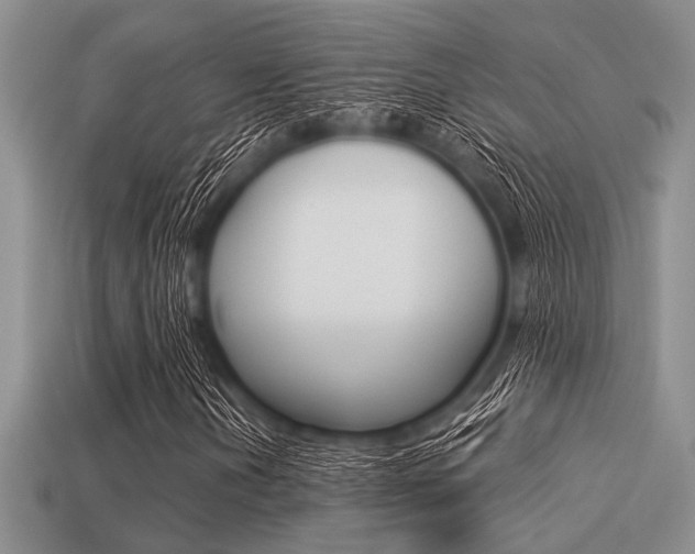 X0000113561202200909181013