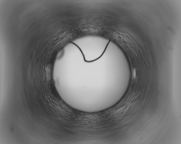 X0000113561203200909181013