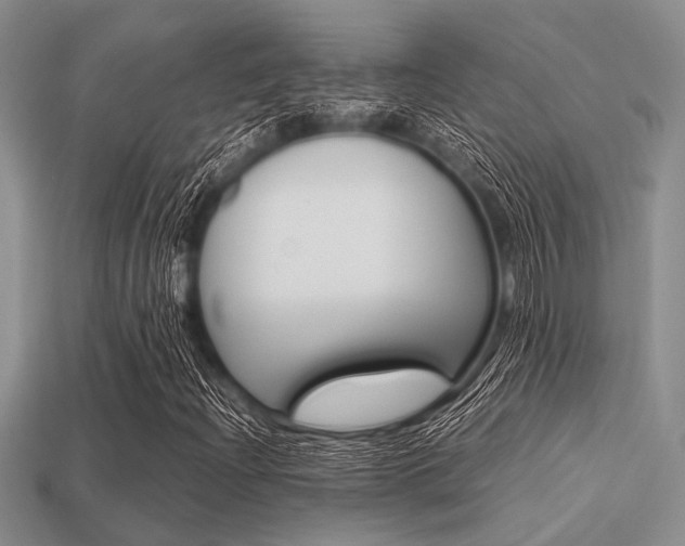 X0000113561204200909181013
