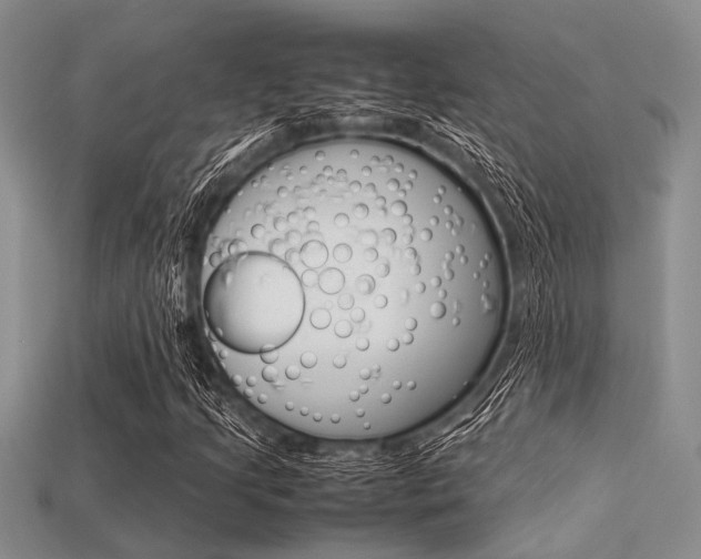X0000113561205200909181013