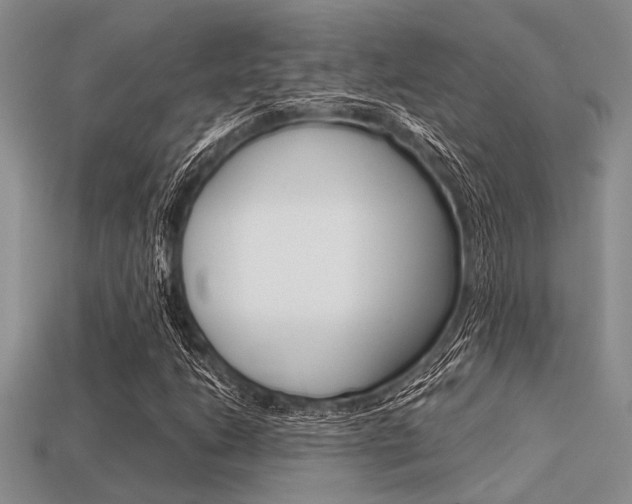 X0000113561206200909181013