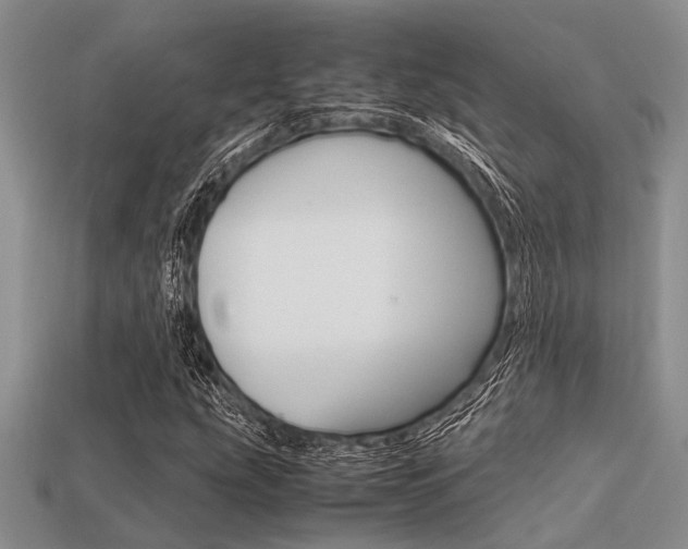 X0000113561207200909181013