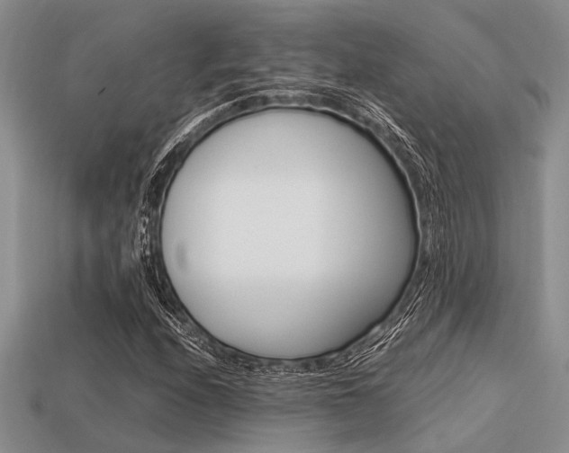 X0000113561208200909181013