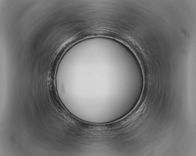 X0000113561210200909181013