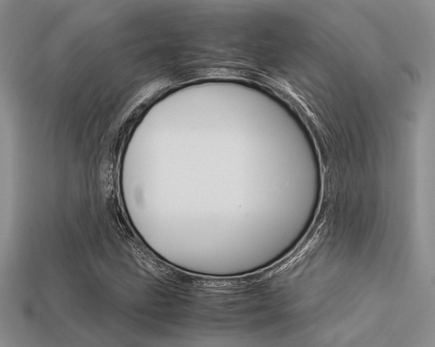 X0000113561211200909181013