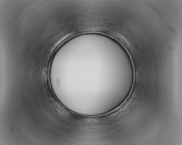 X0000113561212200909181013