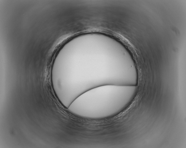 X0000113561215200909181013