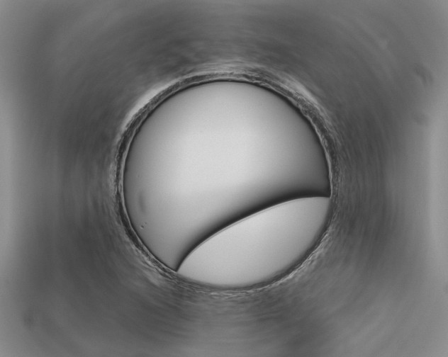 X0000113561216200909181013