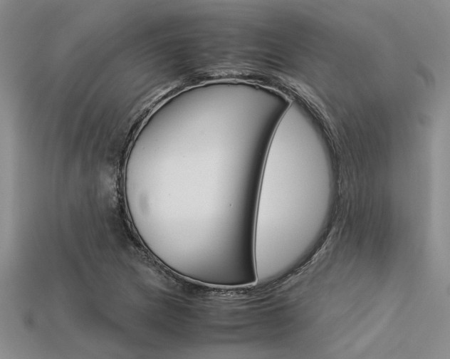 X0000113561217200909181013