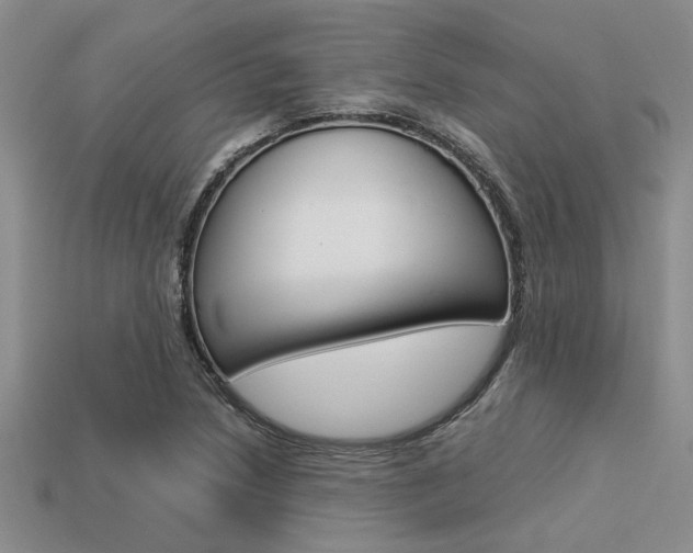 X0000113561218200909181013