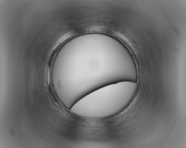 X0000113561219200909181013
