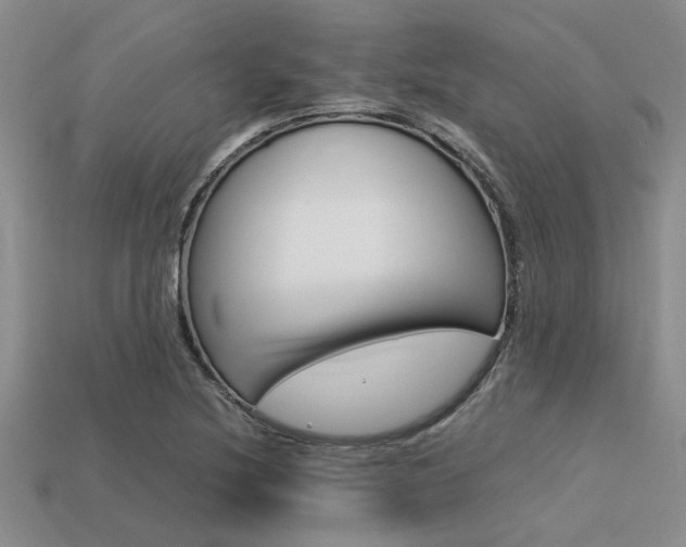 X0000113561220200909181013