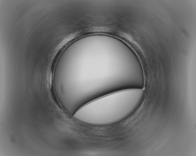 X0000113561221200909181013