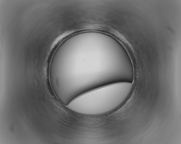 X0000113561222200909181013