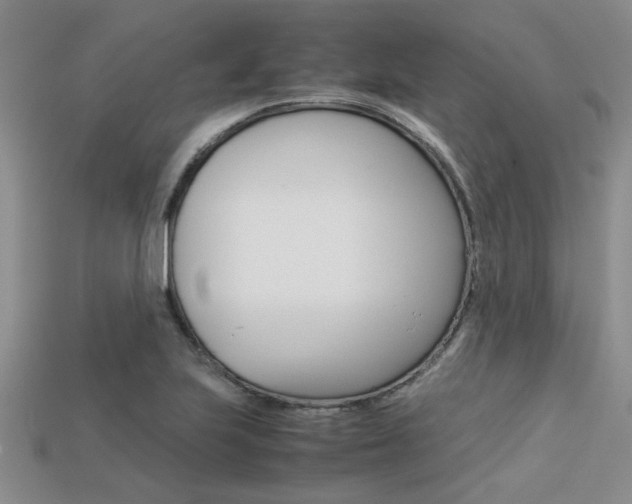 X0000113561223200909181013