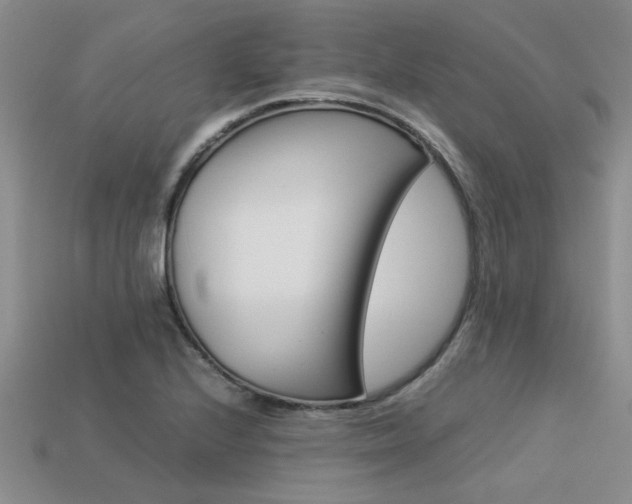 X0000113561224200909181013