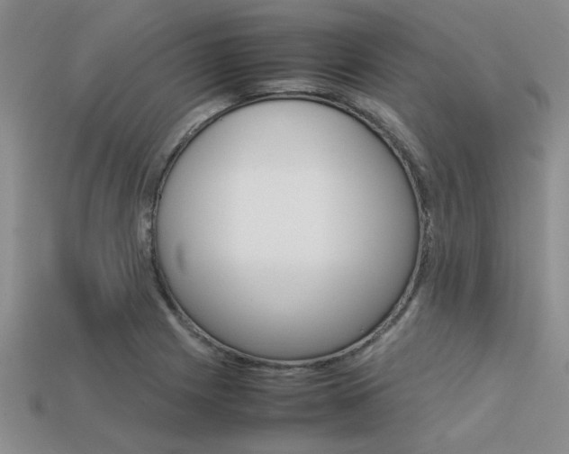 X0000113561225200909181013
