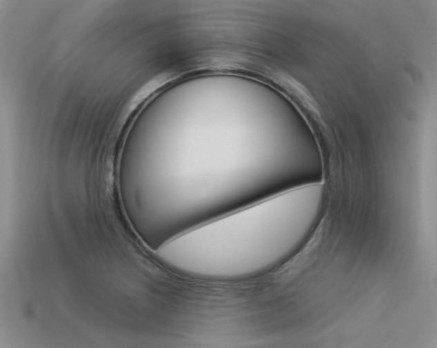 X0000113561226200909181013