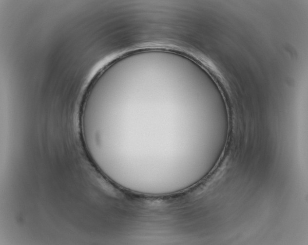 X0000113561230200909181014
