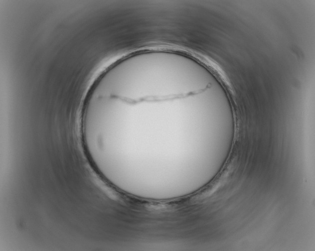 X0000113561231200909181014