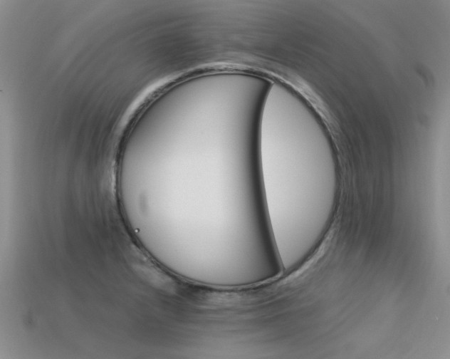 X0000113561232200909181014