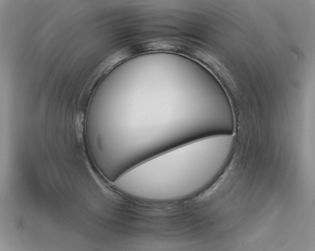 X0000113561233200909181014