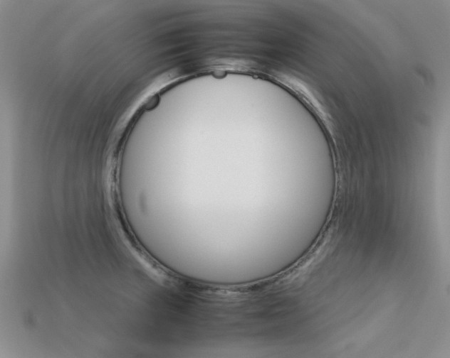 X0000113561235200909181014
