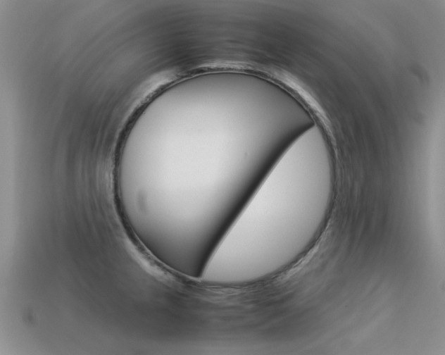 X0000113561237200909181014