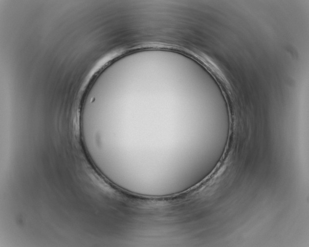 X0000113561238200909181014