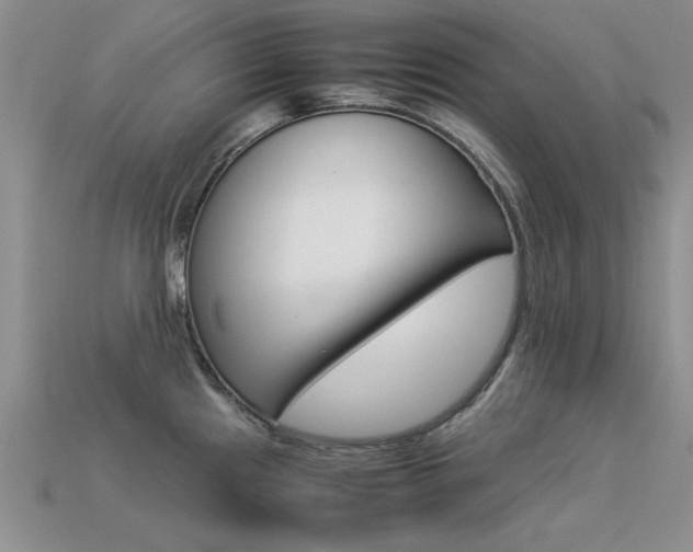 X0000113561241200909181014