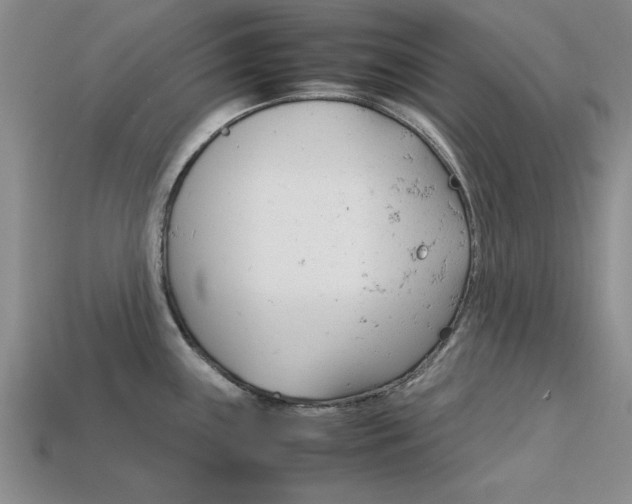 X0000113561243200909181014