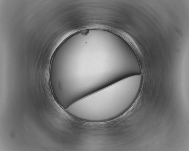 X0000113561244200909181014