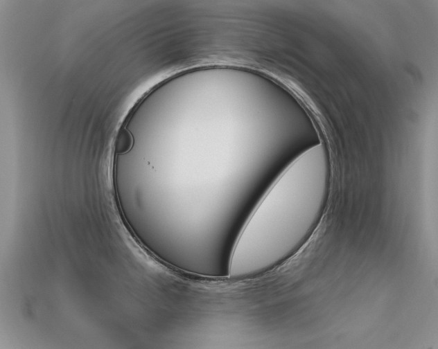 X0000113561246200909181014