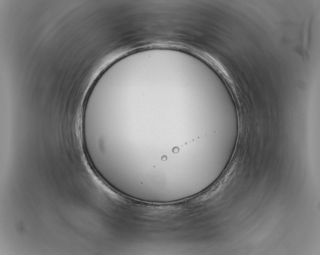 X0000113561247200909181014
