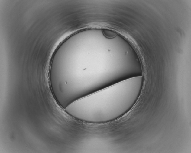 X0000113561248200909181014