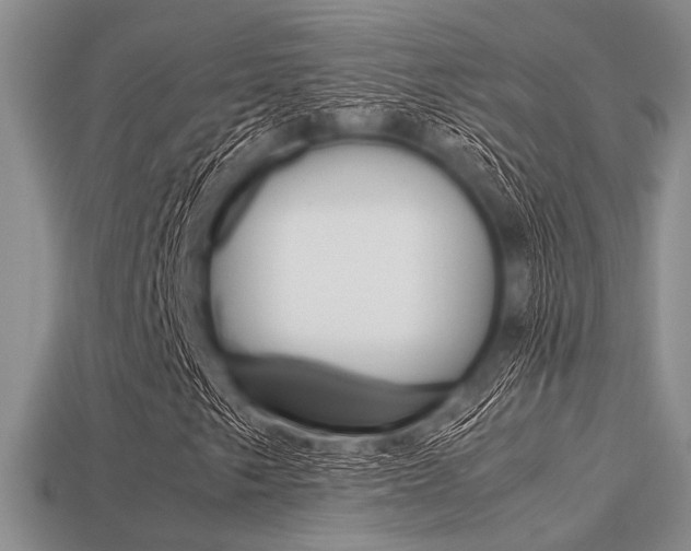 X0000113561249200909181013