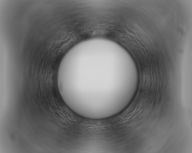 X0000113561250200909181013