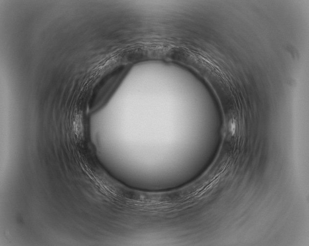 X0000113561252200909181013