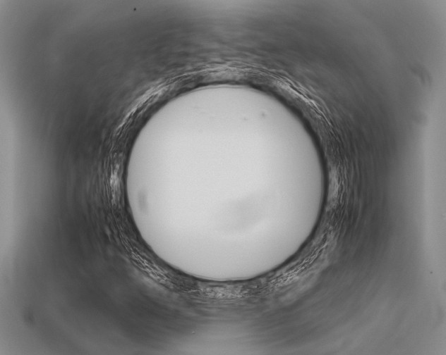 X0000113561254200909181013