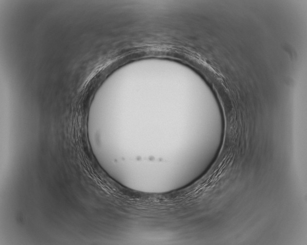 X0000113561255200909181013