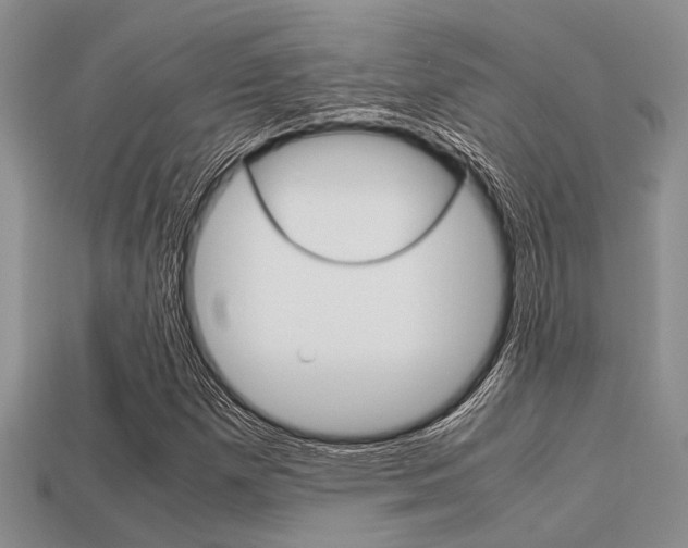 X0000113561257200909181013