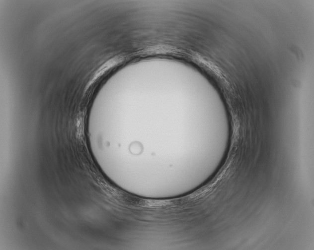 X0000113561258200909181013