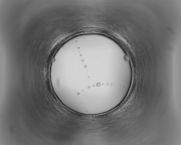 X0000113561259200909181013