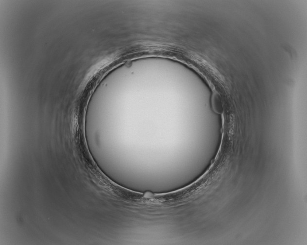 X0000113561261200909181013