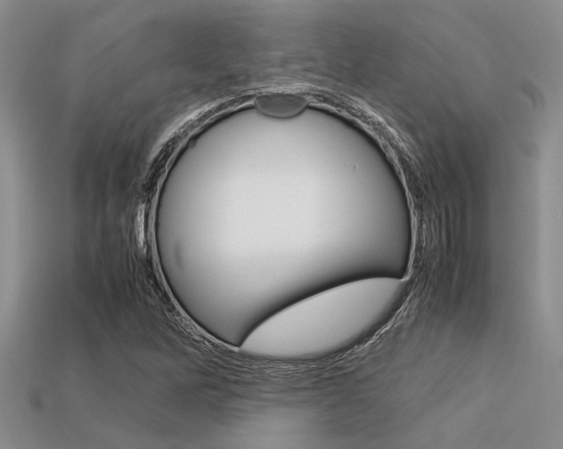 X0000113561262200909181013
