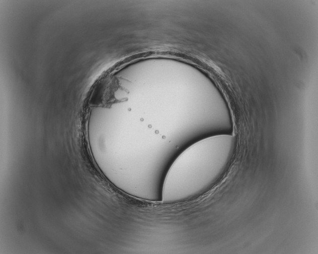 X0000113561263200909181013