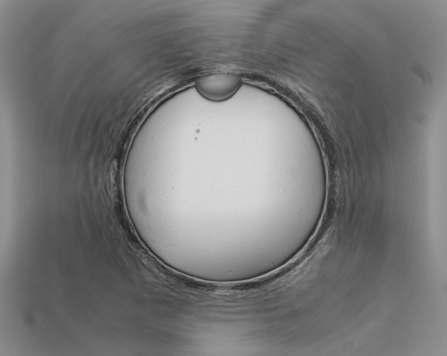 X0000113561265200909181013