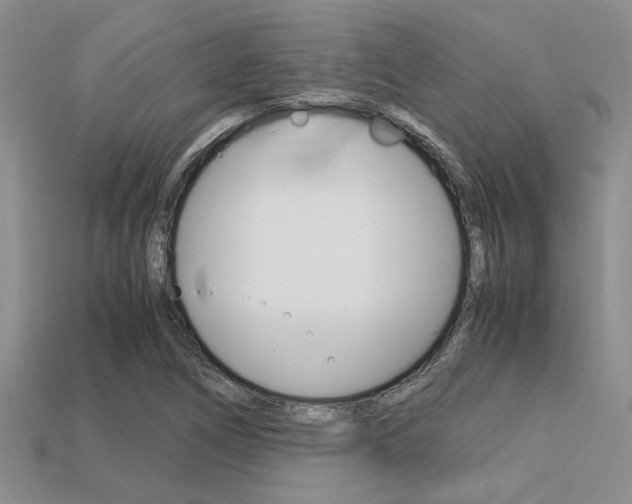 X0000113561266200909181013