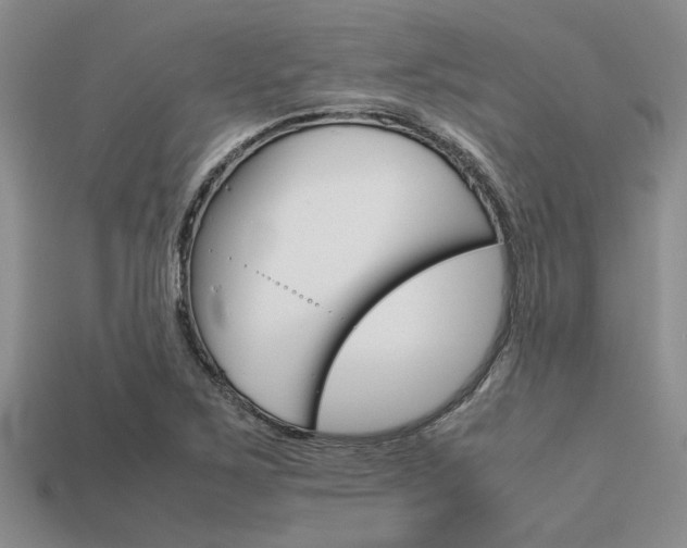 X0000113561267200909181013