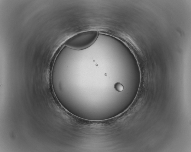 X0000113561268200909181013